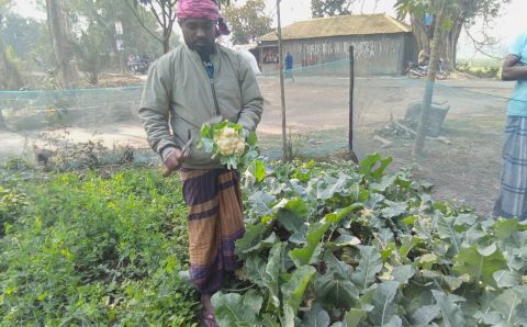 Agriculture